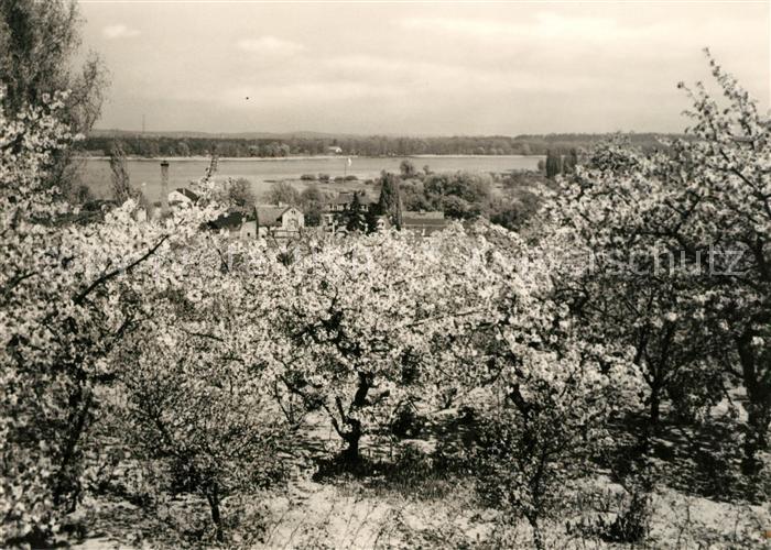 Werder Havel Panorama