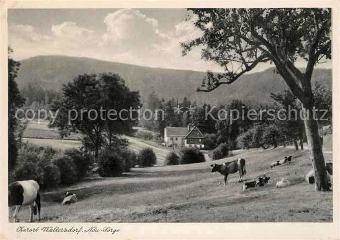 Waltersdorf Bad Schandau Neu Sorge