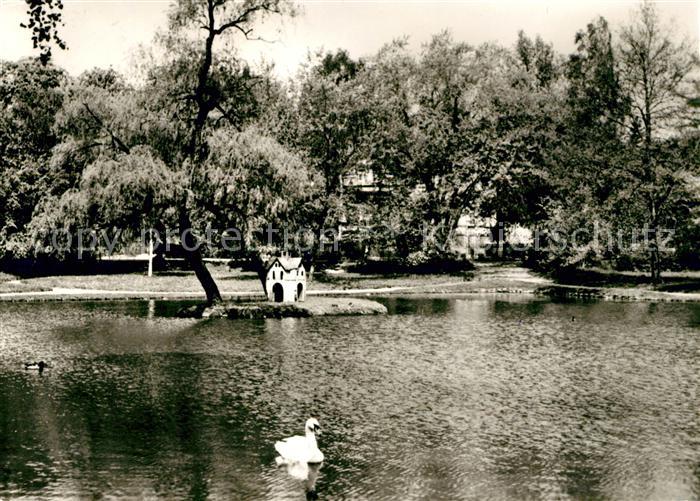 Bad Lausick Schwanenteich