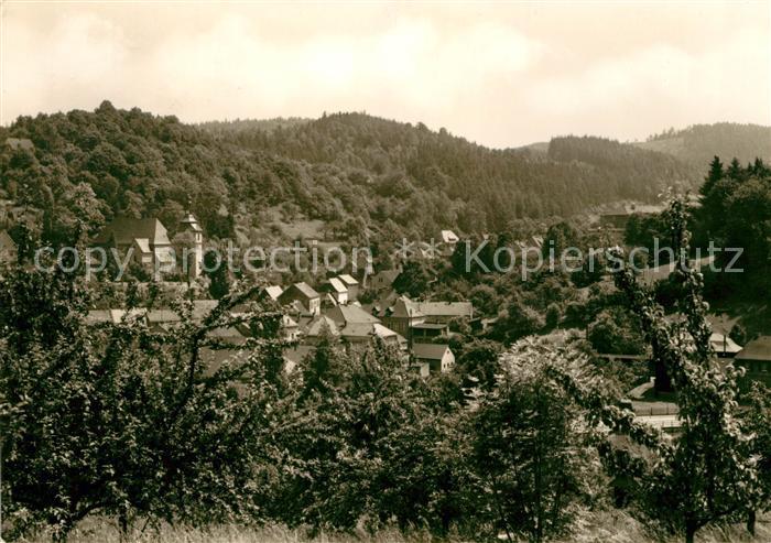 Bad Gottleuba-Berggiesshuebel Panorama