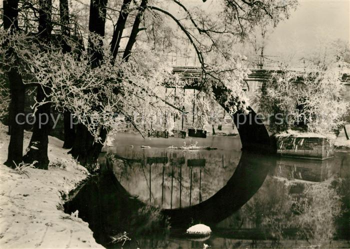 Weimar Thueringen Sternbruecke Winter