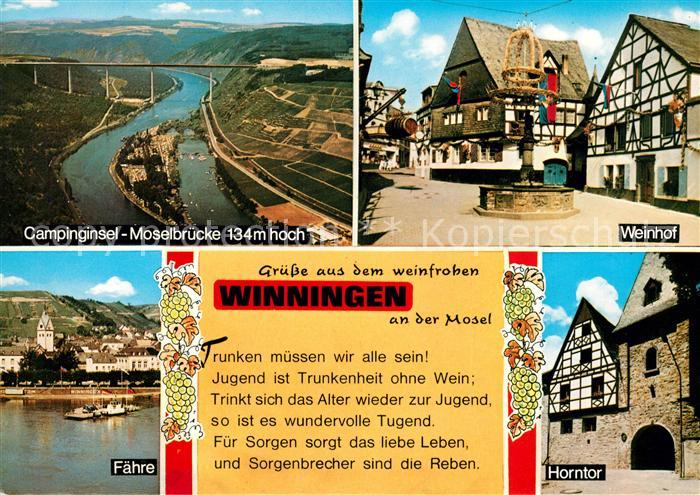 Winningen Mosel Campinginsel Moselbruecke Weinhof Faehre Horntor