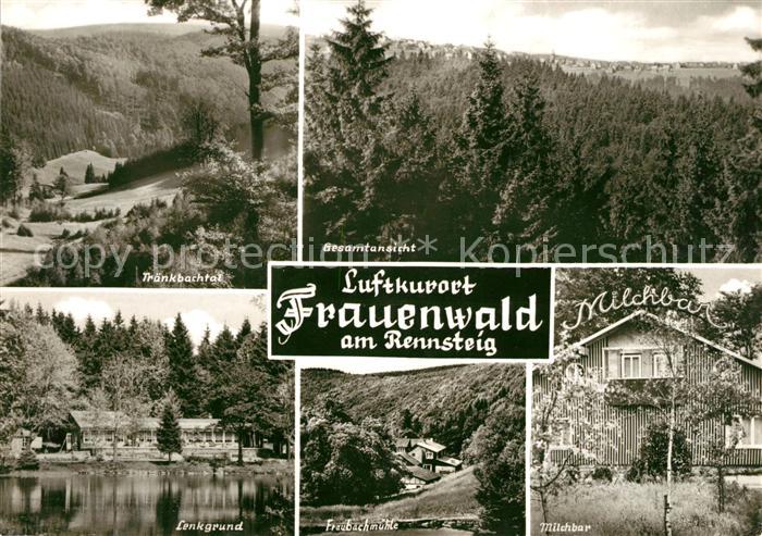 Frauenwald Thueringen Traenkbachtal Lenkgrund Fraubachmuehle Milchbar Panorama