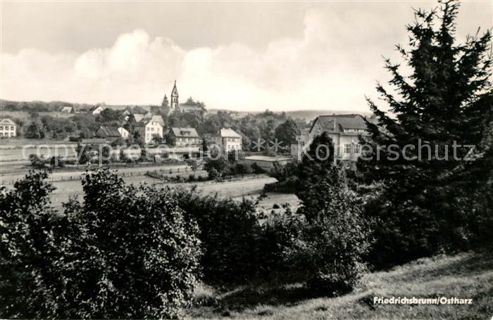 Friedrichsbrunn Harz Panorama