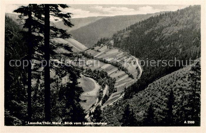 Lauscha Panorama Lauschenstein