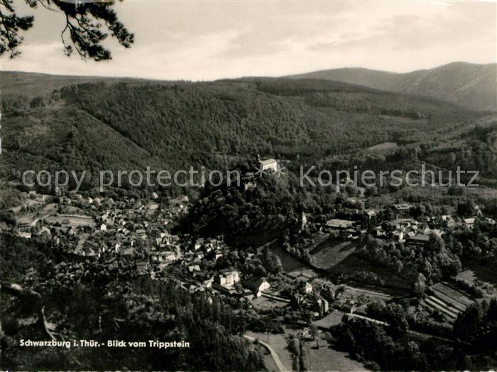 Schwarzburg Thueringer Wald Blick vom Trippstein