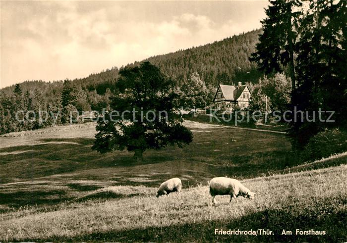 Friedrichroda Am Forsthaus