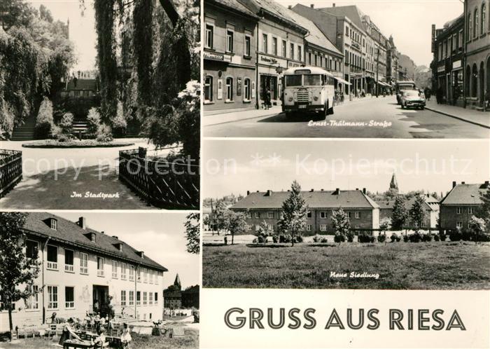Riesa Sachsen Stadtpark Ernst Thaelmann Strasse Neue Siedlung
