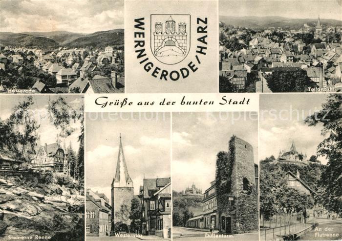 Wernigerode Harz Hasserode Dullenturm Westerntor Steinerne Renne Panorama