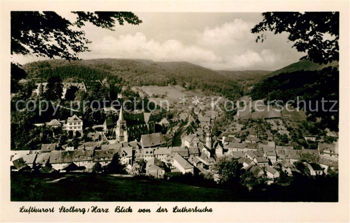 Stolberg Harz Blick von der Lutherbuche