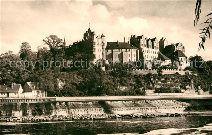 Bernburg Saale Schlossblick vom Rosenhag