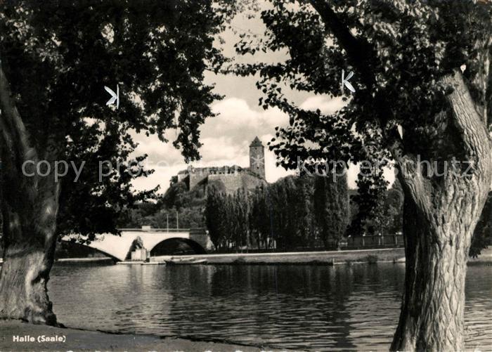 Halle Saale Bruecke Schloss