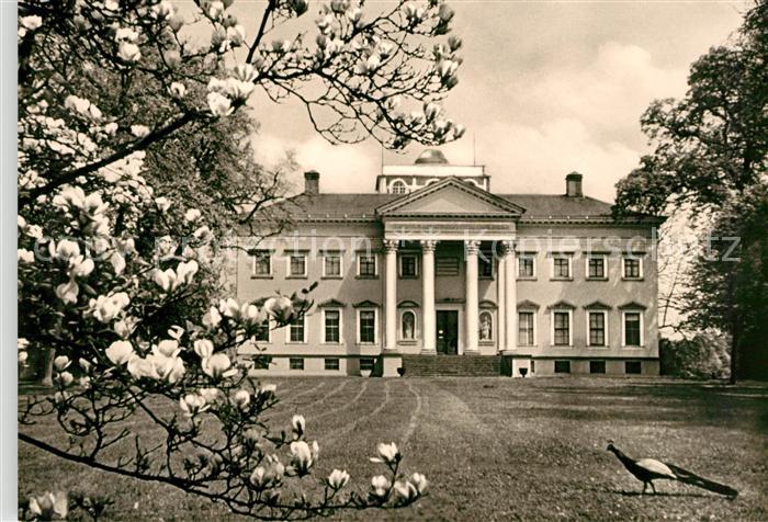 Woerlitz Schlossmuseum