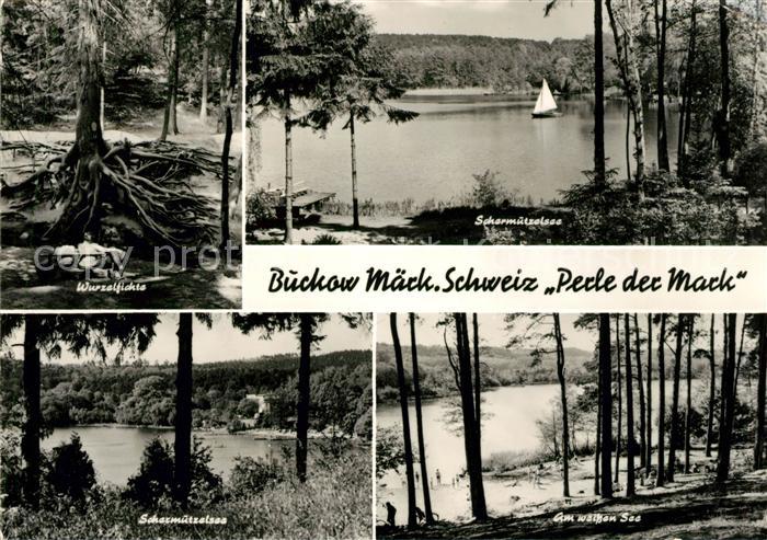 Buckow Maerkische Schweiz Wurzelfichte Scharmuetzelsee Am Weissen See