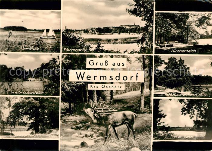 Wermsdorf Horstsee Kirchenteich Dreibrueckenteich Haeuschenreich Tiefer Teich Hi