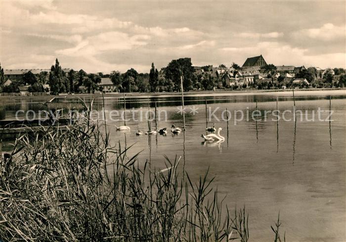 Prenzlau Am Unteren Ueckersee