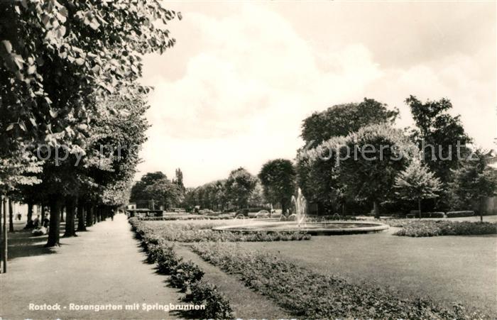 ROSTOCK  CITY Rosengarten Springbrunnen