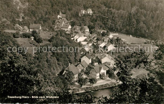 Treseburg Harz Panorama vom Wildstein