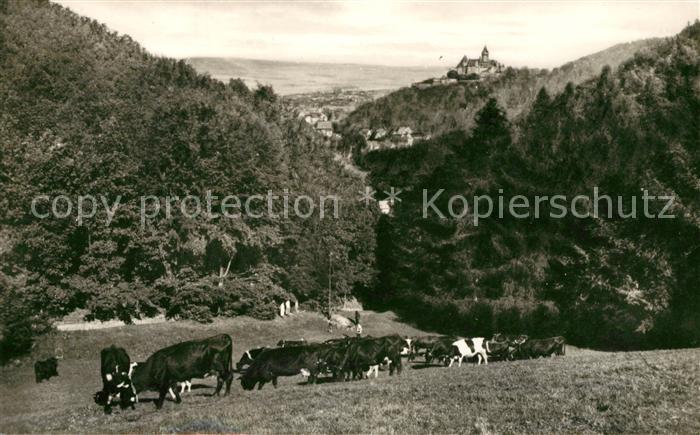 Wernigerode Harz Bollhasenthal