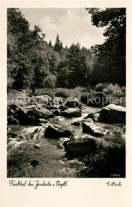 Jocketa Triebtal Bachlauf