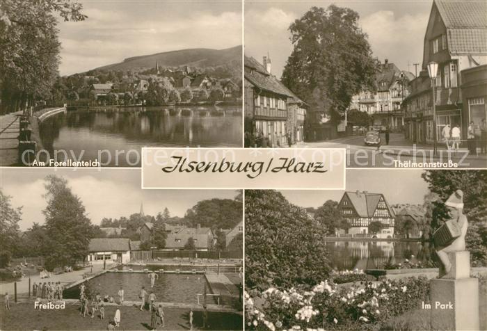 Ilsenburg Harz Forellenteich Thaelmannstrasse Freibad Park