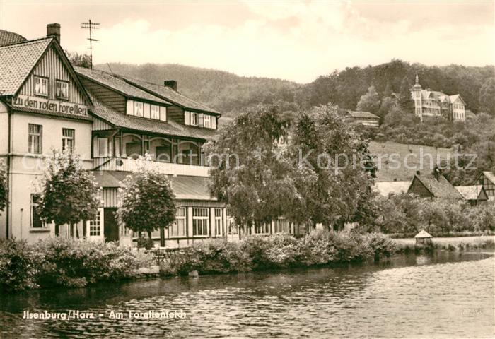 Ilsenburg Harz Forellenteich