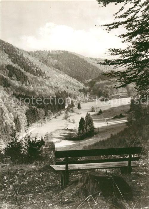 Netzkater Brandesbachtal