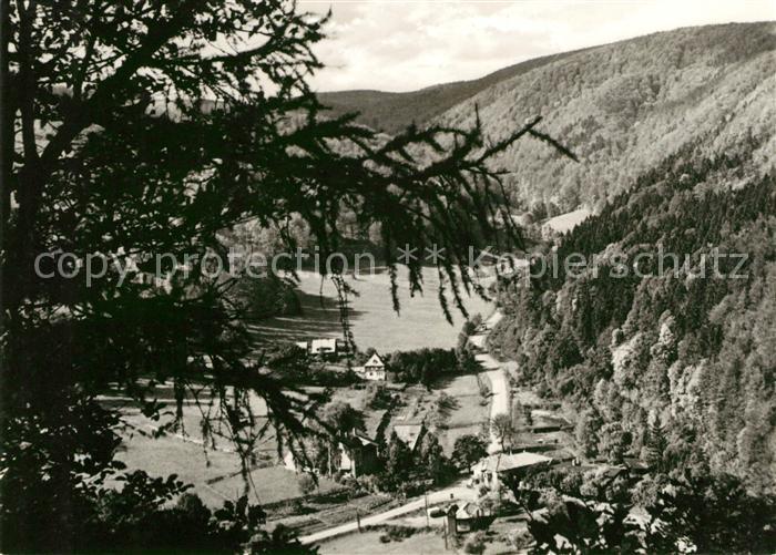 Ilfeld Suedharz Kaltes Tal Netzkater