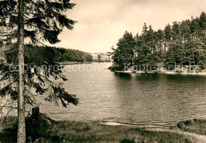 Harzgerode Teufelsteich