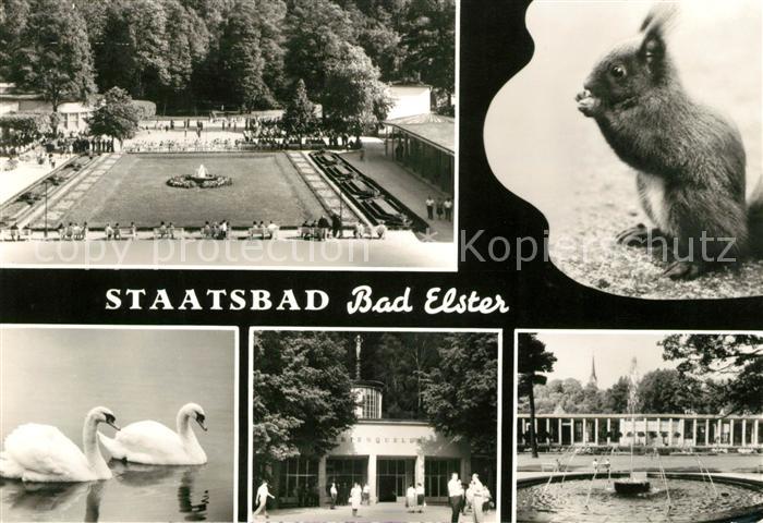 Bad Elster Park Eichhoernchen Schwaene Kurhaus