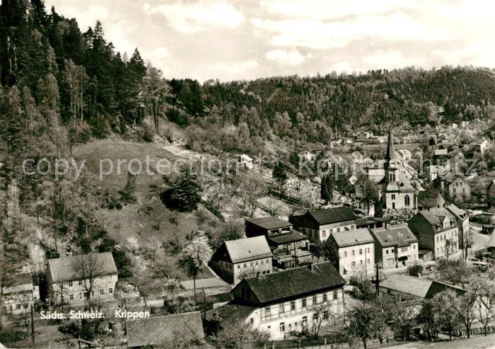 Krippen Bad Schandau Panorama