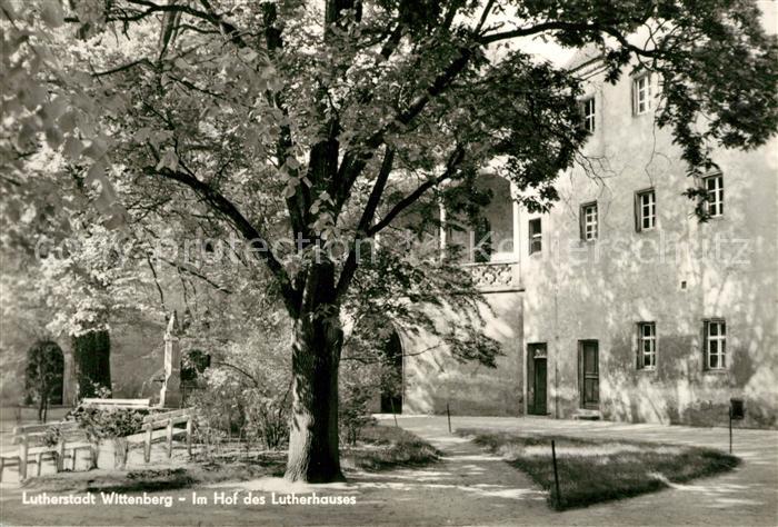 Wittenberg Lutherstadt Hof Lutherhaus