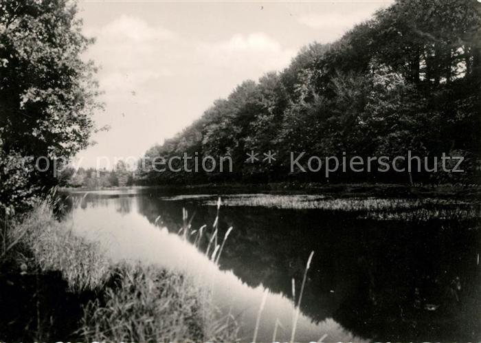 Neudorf Harzgerode Grenzteich