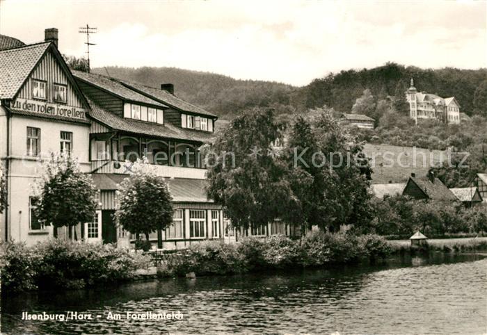 Ilsenburg Harz Forellenteich