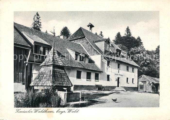 Zwiesel Niederbayern Zwiesler Waldhaus