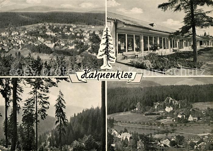 Hahnenklee-Bockswiese Harz Panoramen