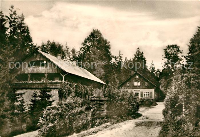 Gelenau Erzgebirge Venusberg Pension Waldhof