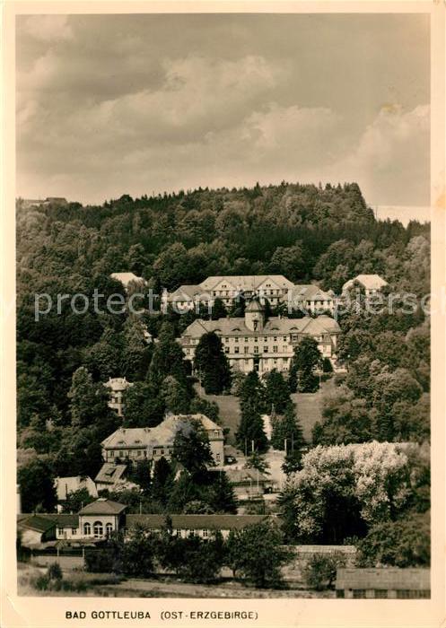 Bad Gottleuba-Berggiesshuebel Panorama