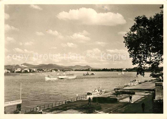 Bonn Rhein Rheinpromenade