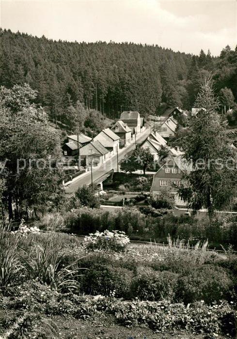Tanne Harz Kurpark Waldstrasse