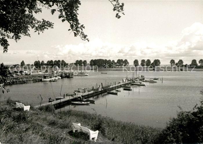 Insel Poel Schwarzer Busch