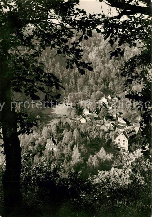 Treseburg Harz Panorama