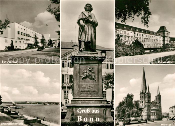Bonn Rhein Bundeshaus Universitaet Rheinpromenade Muenster