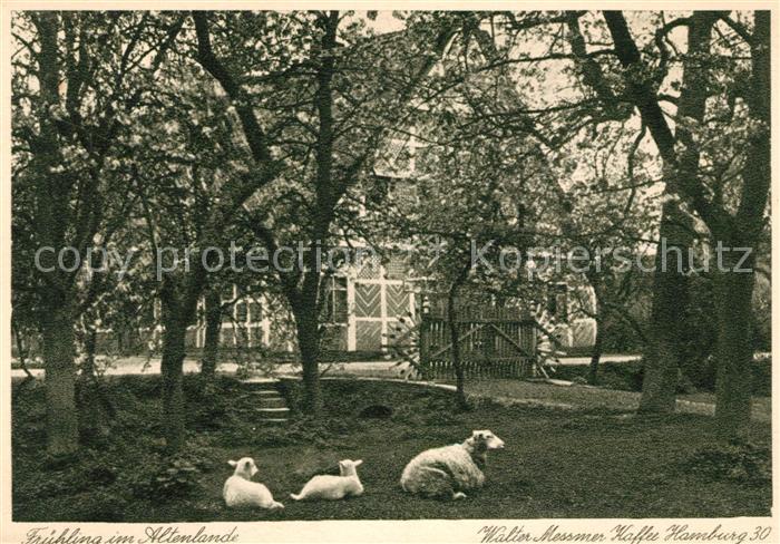 Hamburg Altenlande Walter Messmer Kaffee