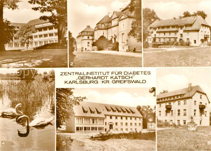 Karlsburg Greifswald Klinik Barockschloss Haus A Diabetikerforschung Schwaene Pa