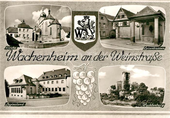 Wachenheim Weinstrasse Kirche Luisenbrunnen Wachtenburg Luginsland