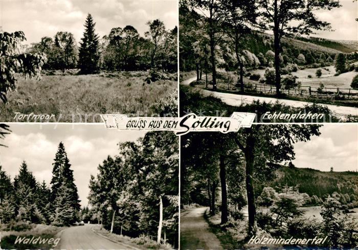 Solling Bodenfelde Torfmoor Fohlenplaken Waldweg Holzmindenertal