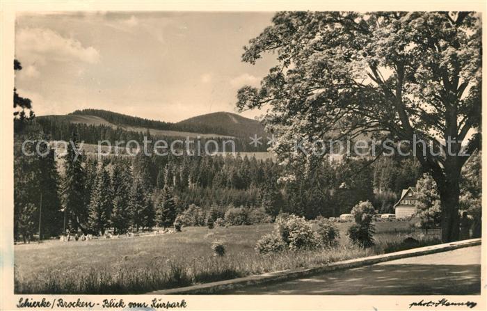 Schierke Harz Panorama