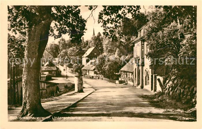 Schierke Harz Unterschierke