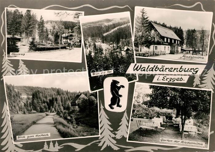 Waldbaerenburg Heuweg Riedelmuehle Hocheck Garten